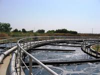 Biological Wastewater Treatment Systems